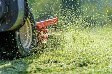 Lawn mowing Mackay — close-up of mower deck discharging fresh grass clippings