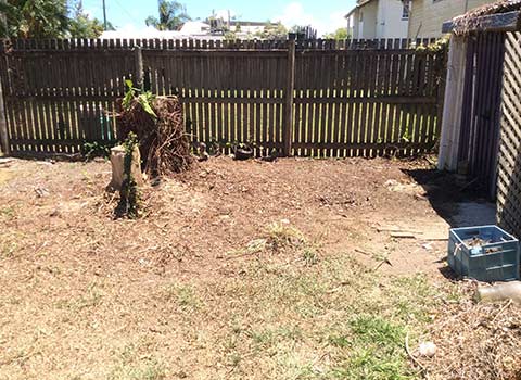 GreenMan Property Services yard clean up